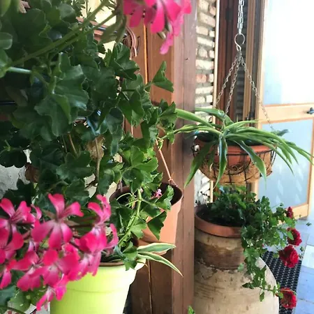 Bed & Breakfast Donna Giovanna