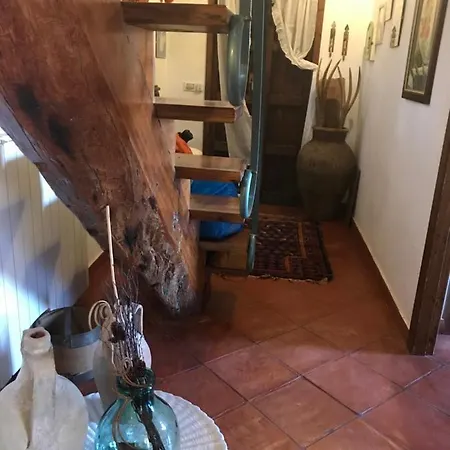 Donna Giovanna